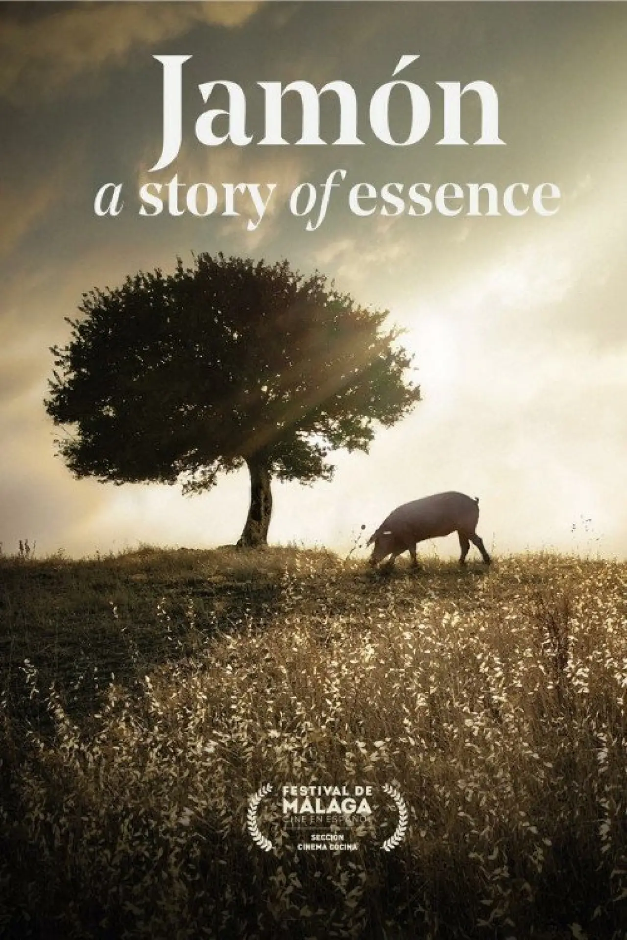 Постер к фильму "Jamón, a Story of Essence"