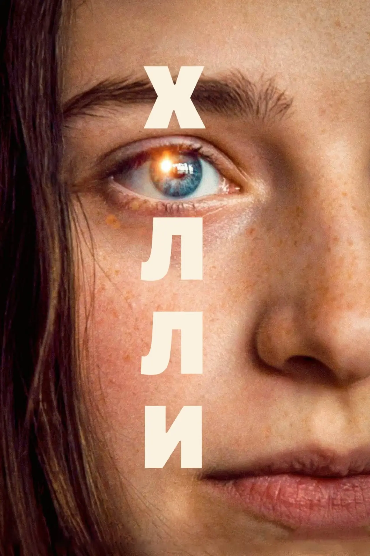Постер к фильму "Холли"