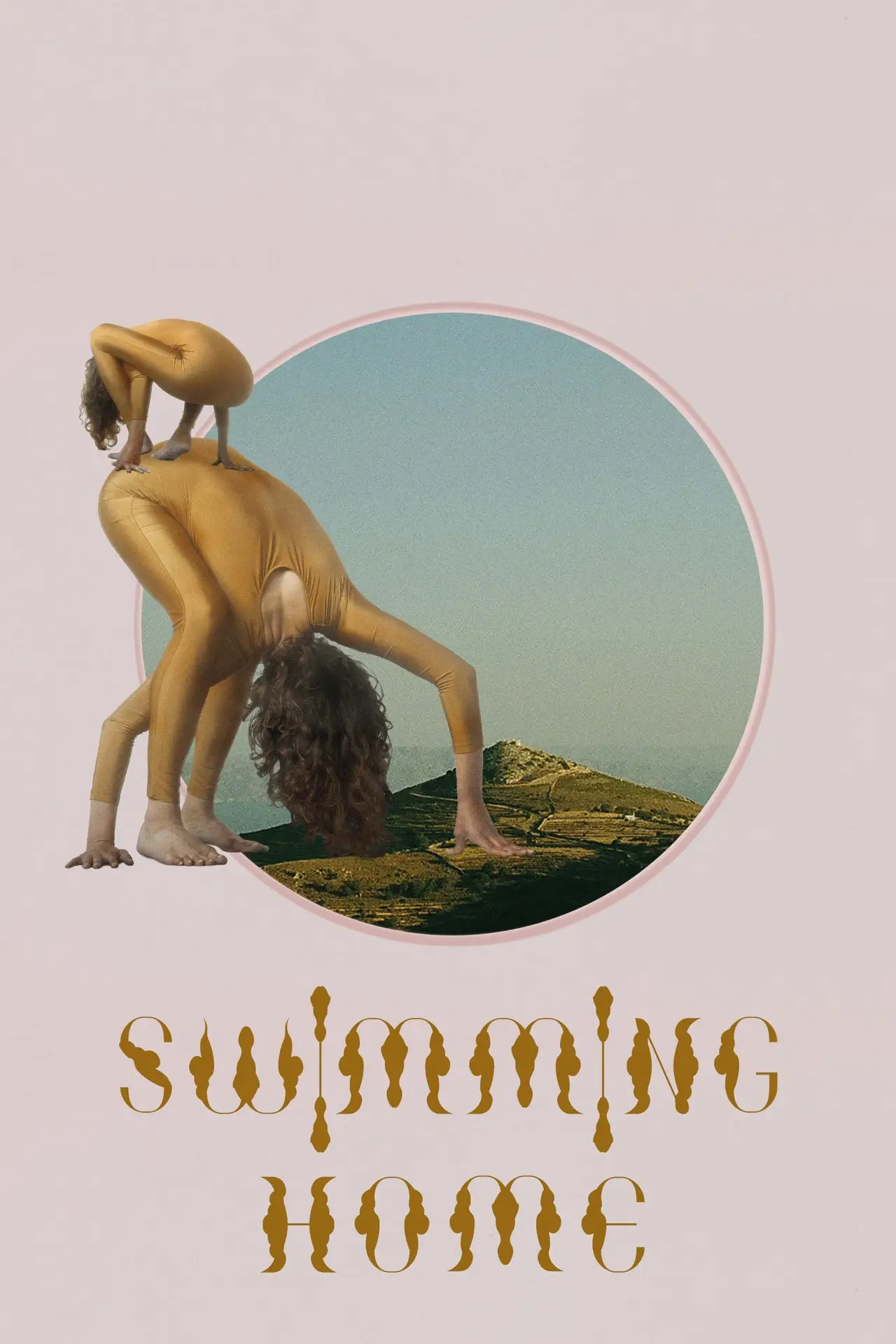 Постер к фильму "Swimming Home"