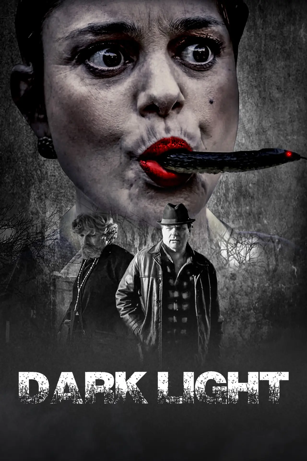 Постер к фильму "Dark Light"