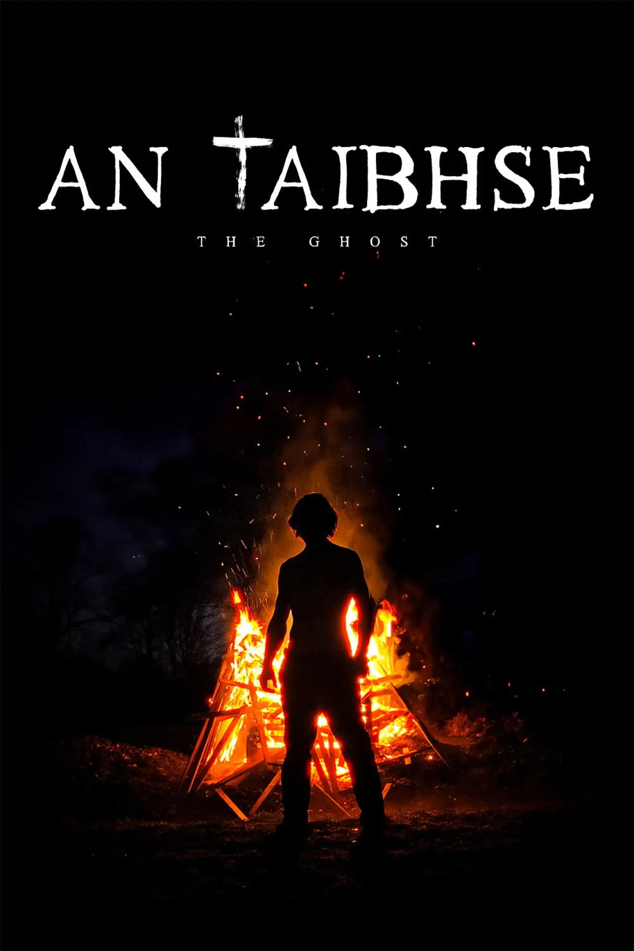 Постер к фильму "An Taibhse"