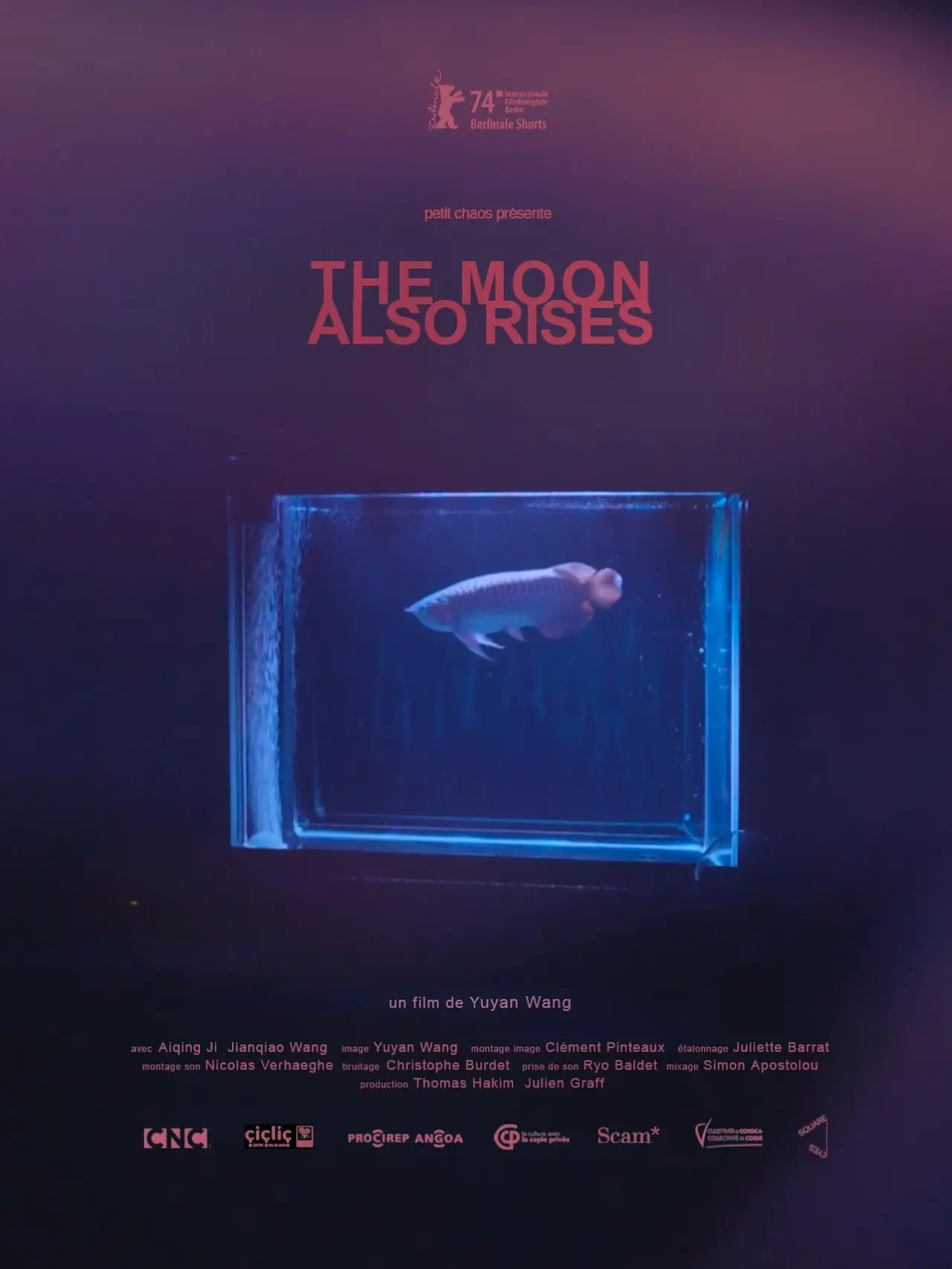 Постер к фильму "The Moon Also Rises"