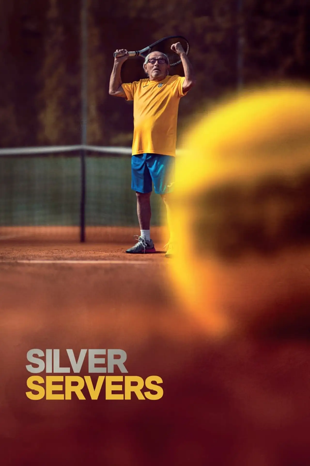 Постер к фильму "Silver Servers"