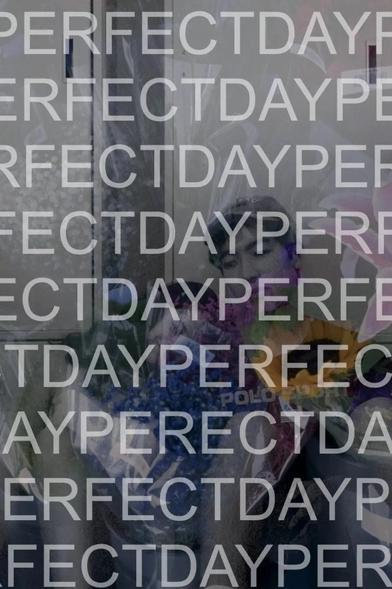 Постер к фильму "Perfect Day"