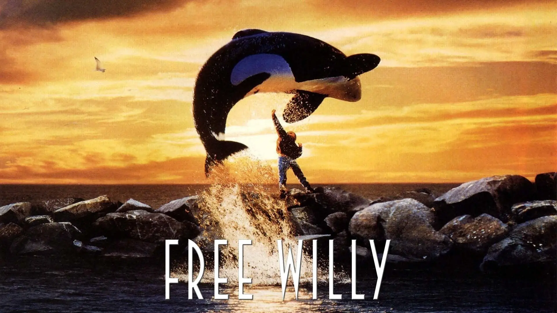 Видео к фильму Освободите Вилли — Free Willy