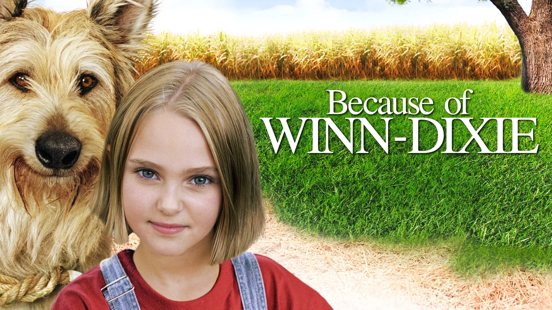 Видео к фильму Благодаря Винн Дикси — Because Of Winn Dixie Trailer HD