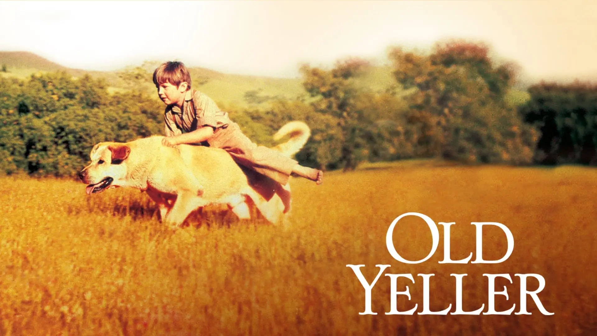 Видео к фильму Старый Брехун — OLD YELLER 40th ANNIVERSARY MOVIE TRAILER [VHS] 1997