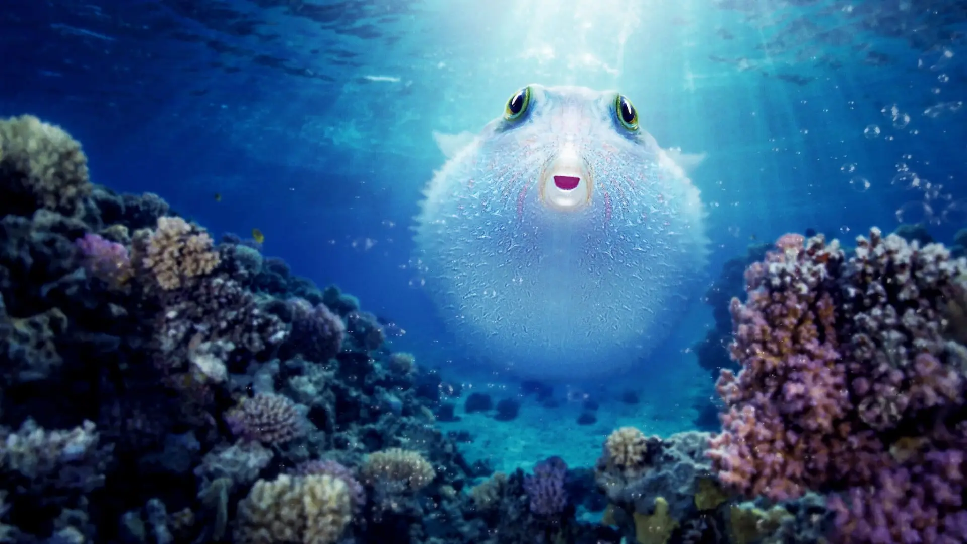 Видео к фильму Puff: Wonders of the Reef — Puff: Wonders of the Reef | Official Trailer | Netflix