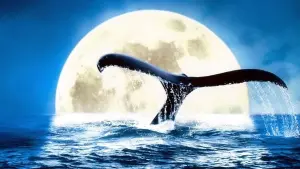 Задник к фильму "Голубая бездна" #481994