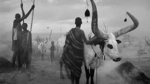 Задник к фильму "Соль земли" #440616