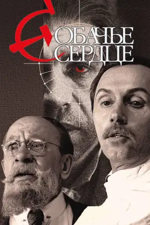 Постер к фильму "Собачье сердце" #948022