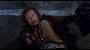 Задник к фильму "Один дома 2: Затерянный в Нью-Йорке" #567156