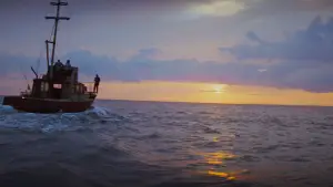 Задник к фильму "Челюсти" #520989