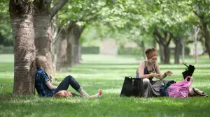 Задник к фильму "Очень хорошие девочки" #438802