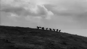 Задник к фильму "Седьмая печать" #675313