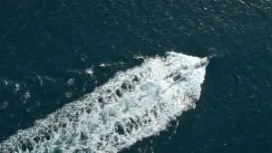 Задник к фильму "Кракен" #629649