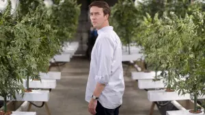 Задник к фильму "Травка" #307996