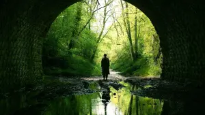 Задник к фильму "Род мужской" #297814