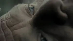 Задник к фильму "Тираннозавр" #230412