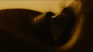 Задник к фильму "Последнее завтра" #593834