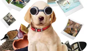 Задник к фильму "Марли и я 2" #397637