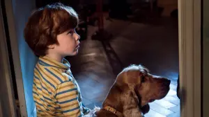 Задник к фильму "Буль и Билл" #501887