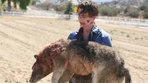 Задник к фильму "Франкенштейн" #496925