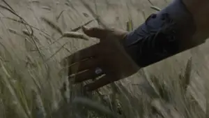 Задник к фильму "Гладиатор" #552962