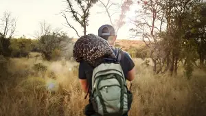 Задник к фильму "Панголин: путешествие Кулу" #669467