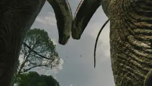 Задник к фильму "" #511857