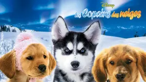 Задник к фильму "Снежная пятёрка" #426627