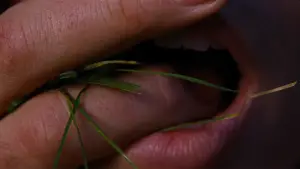 Задник к фильму "Грозовой перевал" #509335