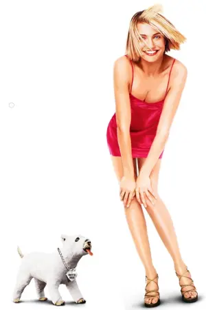 Постер к фильму "Все без ума от Мэри" #273208