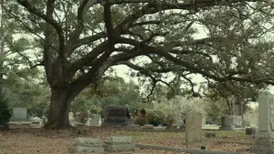 Задник к фильму "Хэллоуин" #640232