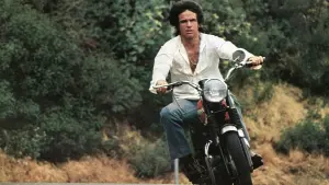 Задник к фильму "Шампунь" #394569