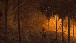 Задник к фильму "Красная черепаха" #211950