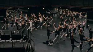 Задник к фильму "Чёрный лебедь" #595708