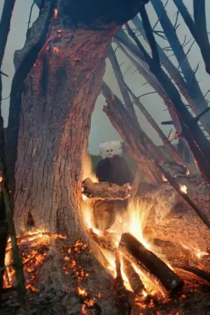 Постер к фильму "" #544040