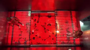 Задник к фильму "Остин Пауэрс: Шпион, который меня соблазнил" #691339