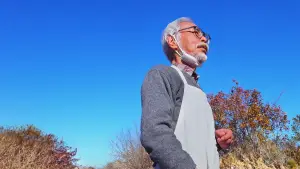 Задник к фильму "Хаяо Миядзаки и птица" #650431