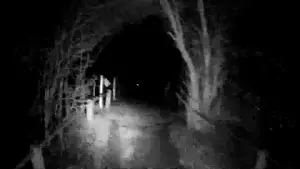 Задник к фильму "" #540189