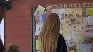 Задник к фильму "Клещи" #441285