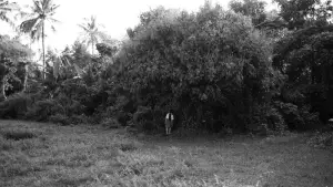 Задник к фильму "Maryam: Janji dan Jiwa yang Terikat" #578843