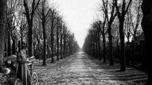 Задник к фильму "Третий человек" #699988