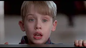 Задник к фильму "Один дома 2: Затерянный в Нью-Йорке" #566997