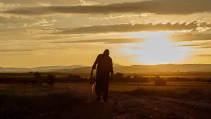 Задник к фильму "Техасская резня бензопилой" #694259