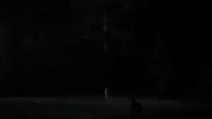 Задник к фильму "Ведьма" #600173