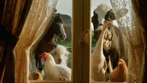 Задник к фильму "Бэйб: Четвероногий малыш" #719882