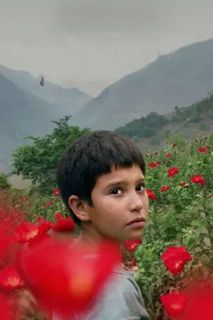 Молитвы об украденных