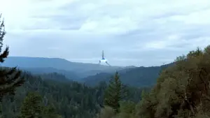 Задник к фильму "Звёздные войны: Эпизод 6 - Возвращение Джедая" #604813